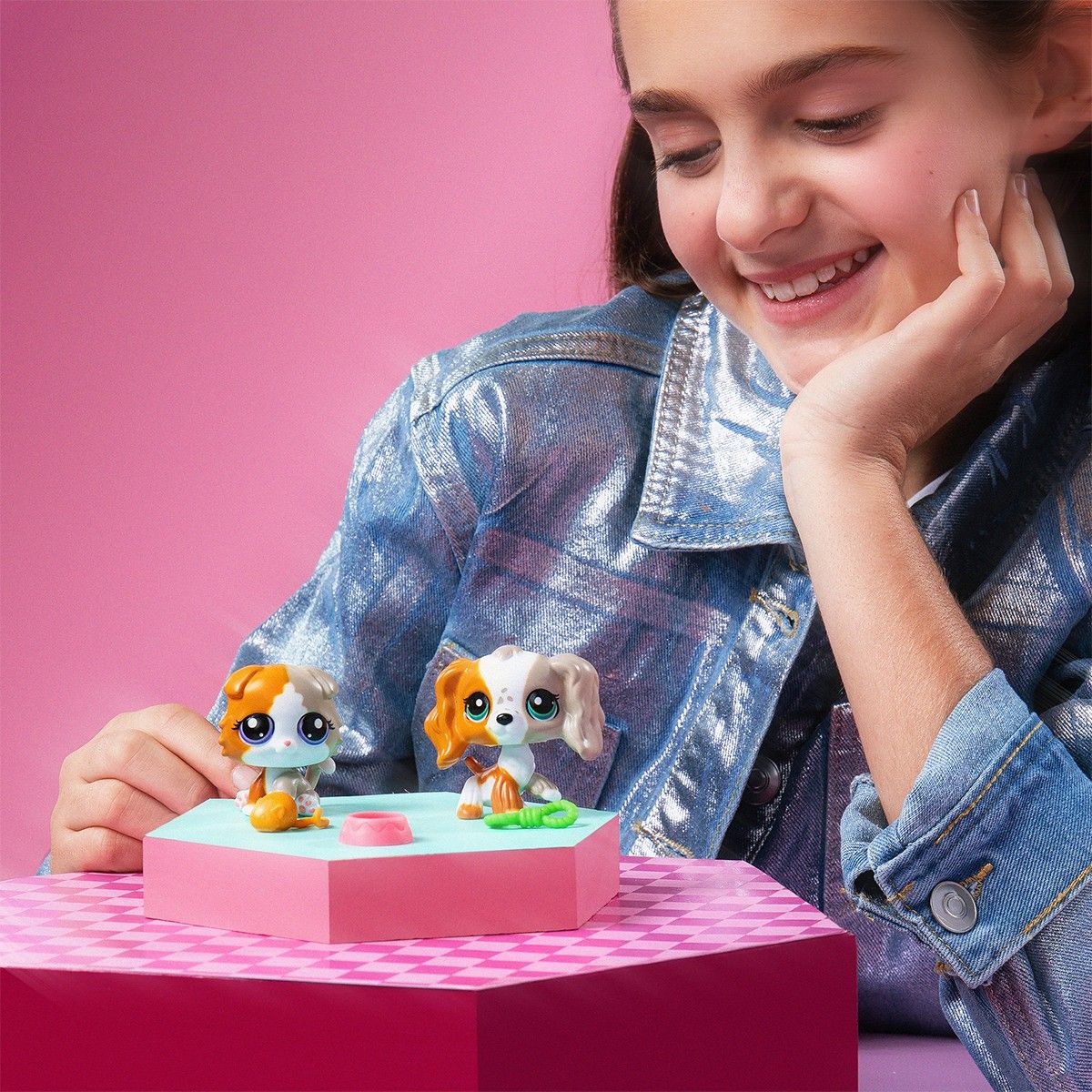 Ігровий набір LITTLEST PET SHOP - ДРУЗІ ДВІЙНИКИ