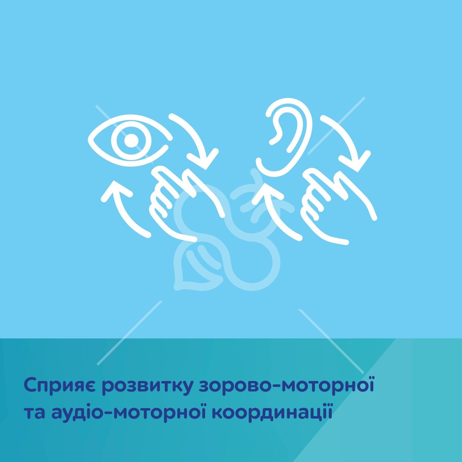 Canpol babies Карусель музична FOX