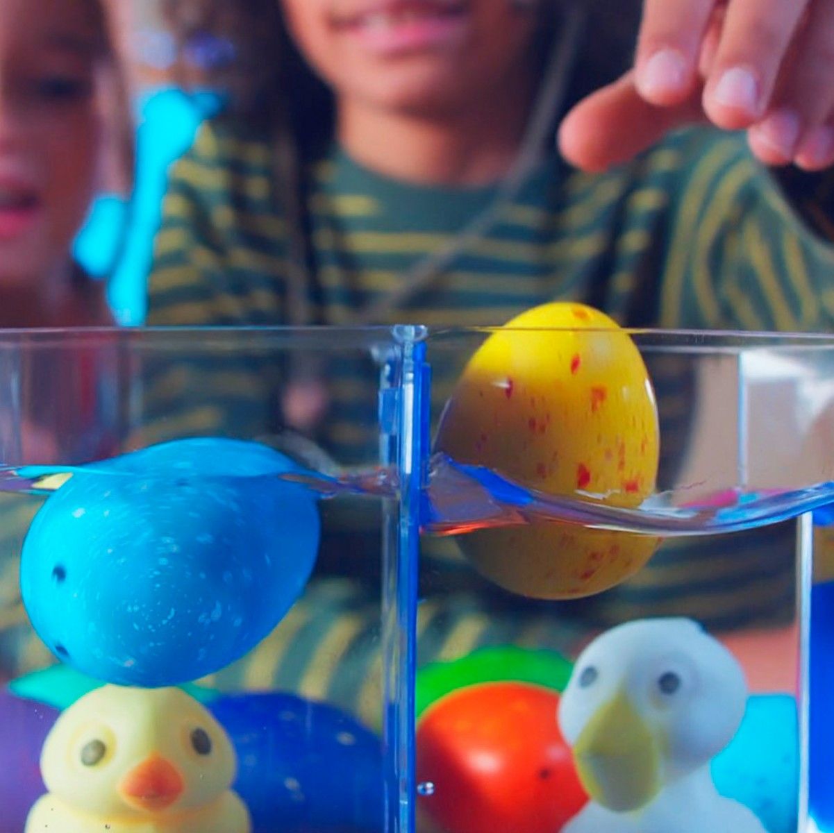 Іграшка, що зростає, в яйці «Eggy Animals» - ПТАШКИ (у дисплеї)