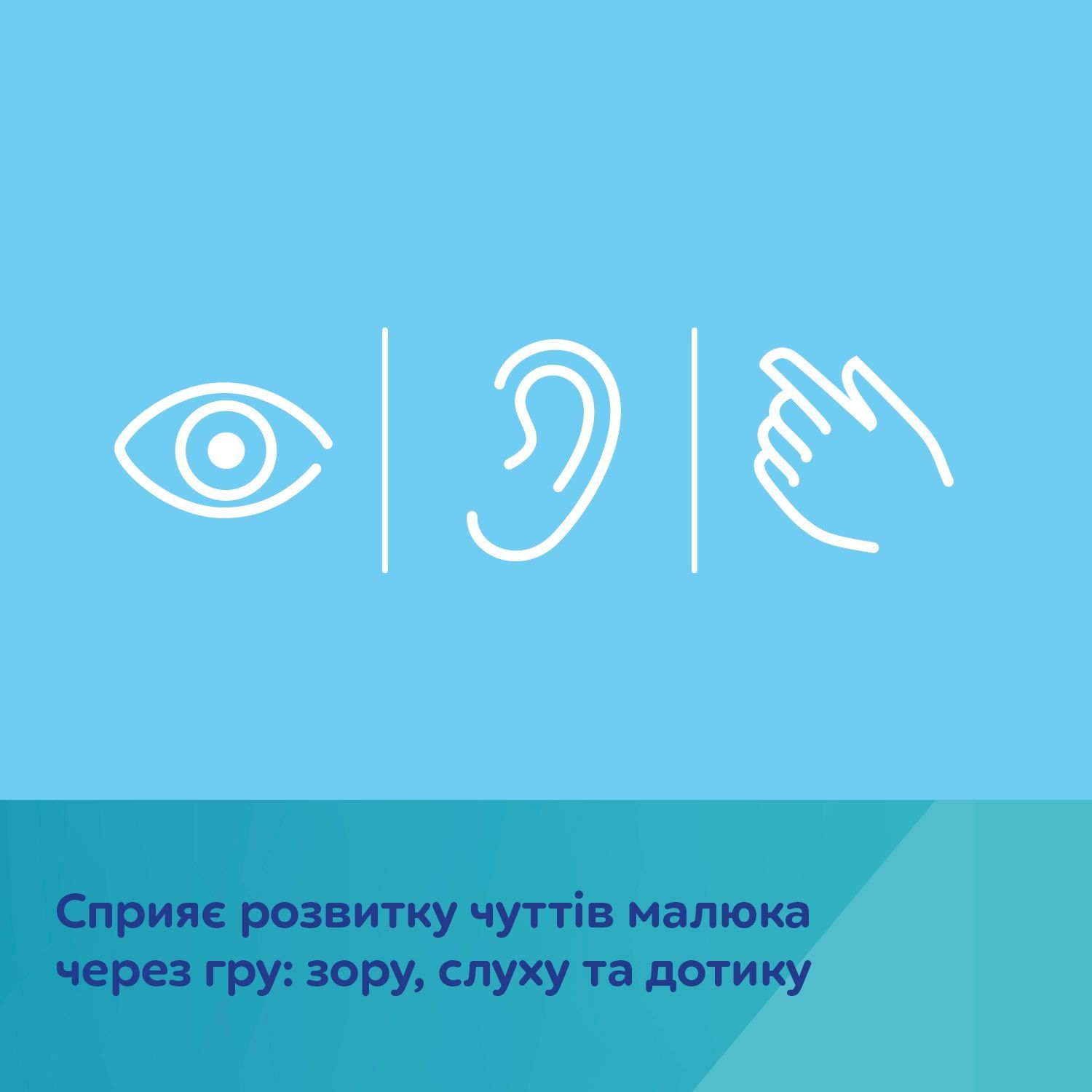 Canpol babies Іграшка-книжечка розвиваюча FOX