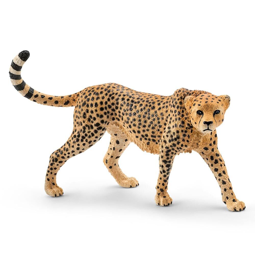 Игрова фігурка Schleich «Самка гепарда» (14746)