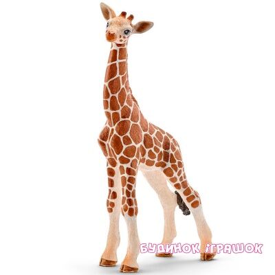 Фігурка Schleich Тварини Африки - Дитинча жирафи (14751)