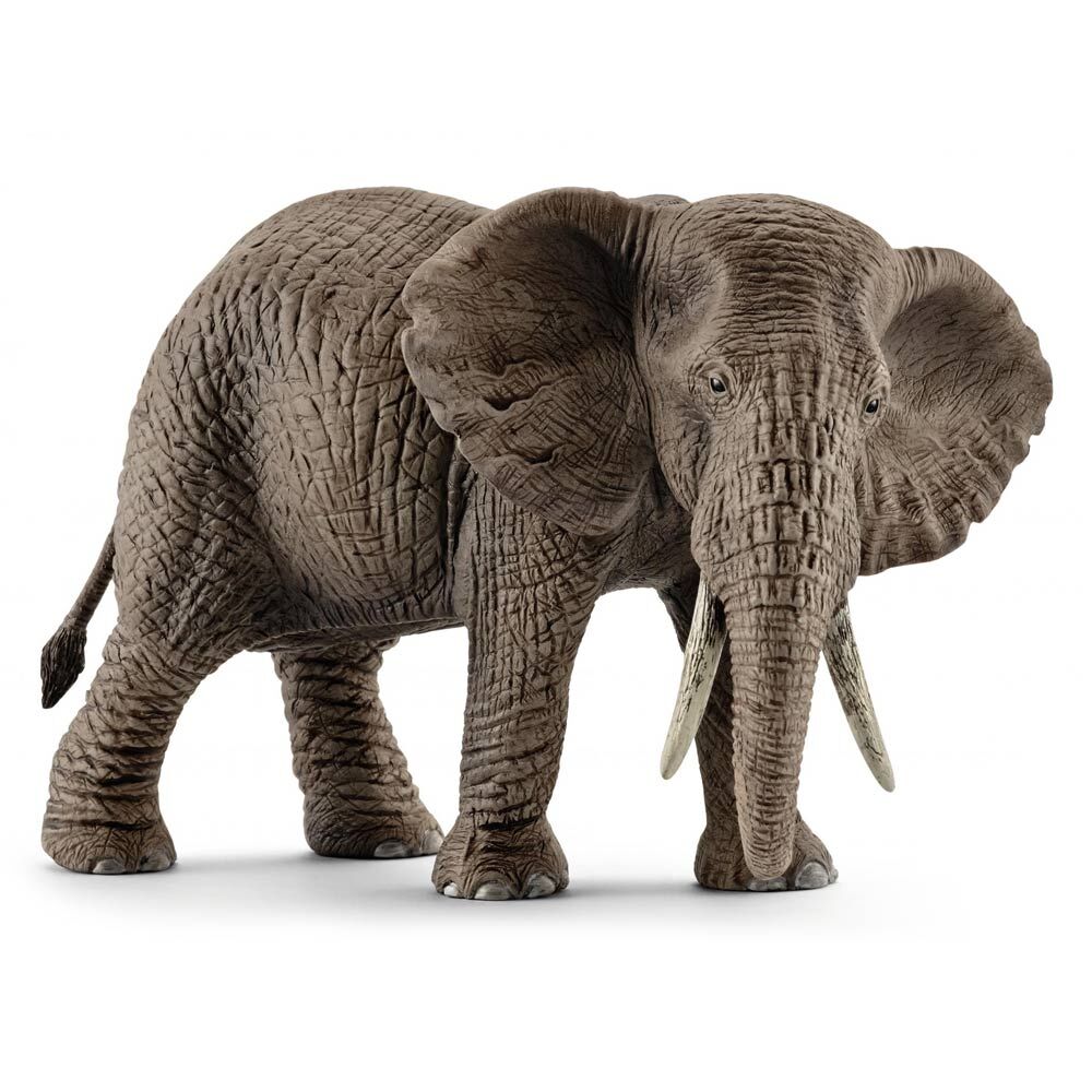 Ігрова фігурка Schleich Африканська слониха (14761)