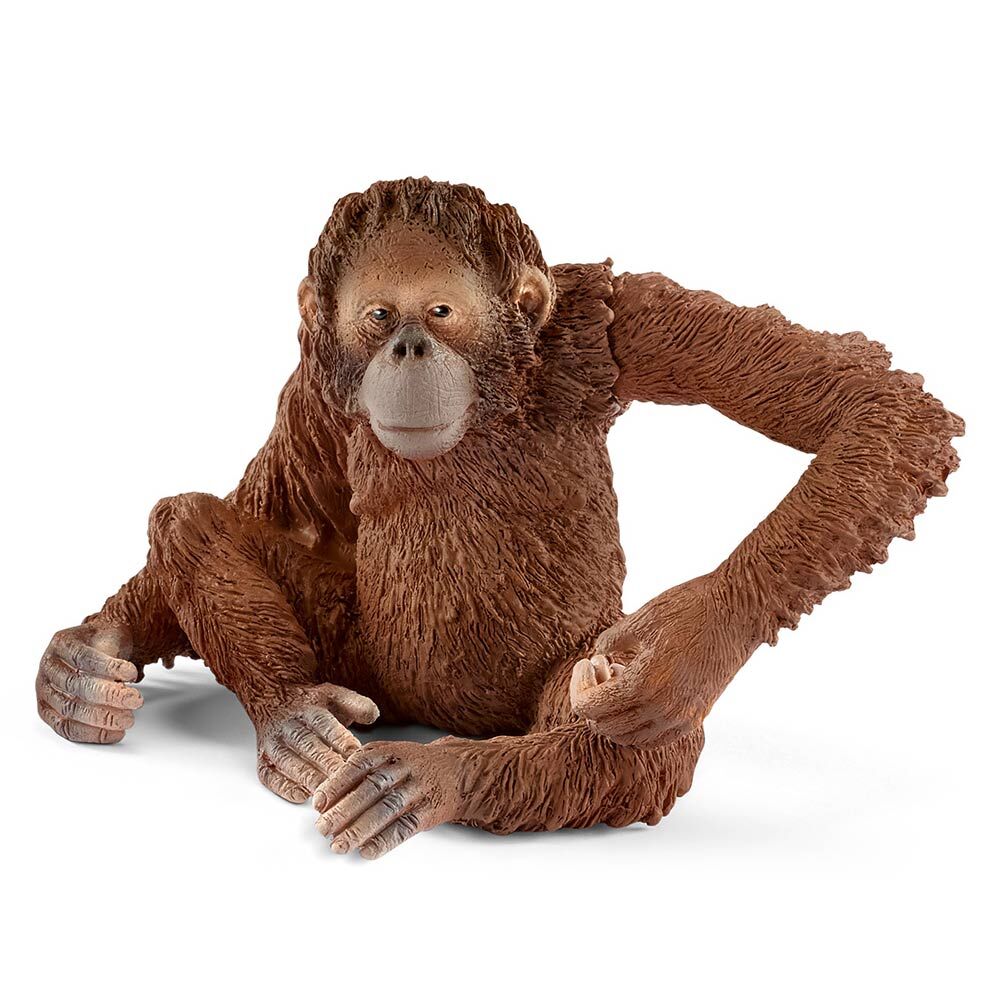Пластикова фігурка Schleich Орангутанг самиця (14775)