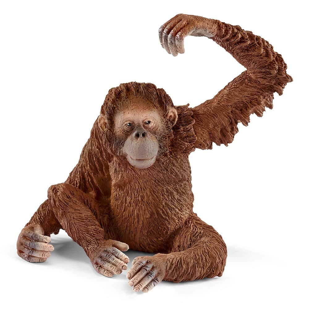 Пластикова фігурка Schleich Орангутанг самиця (14775)