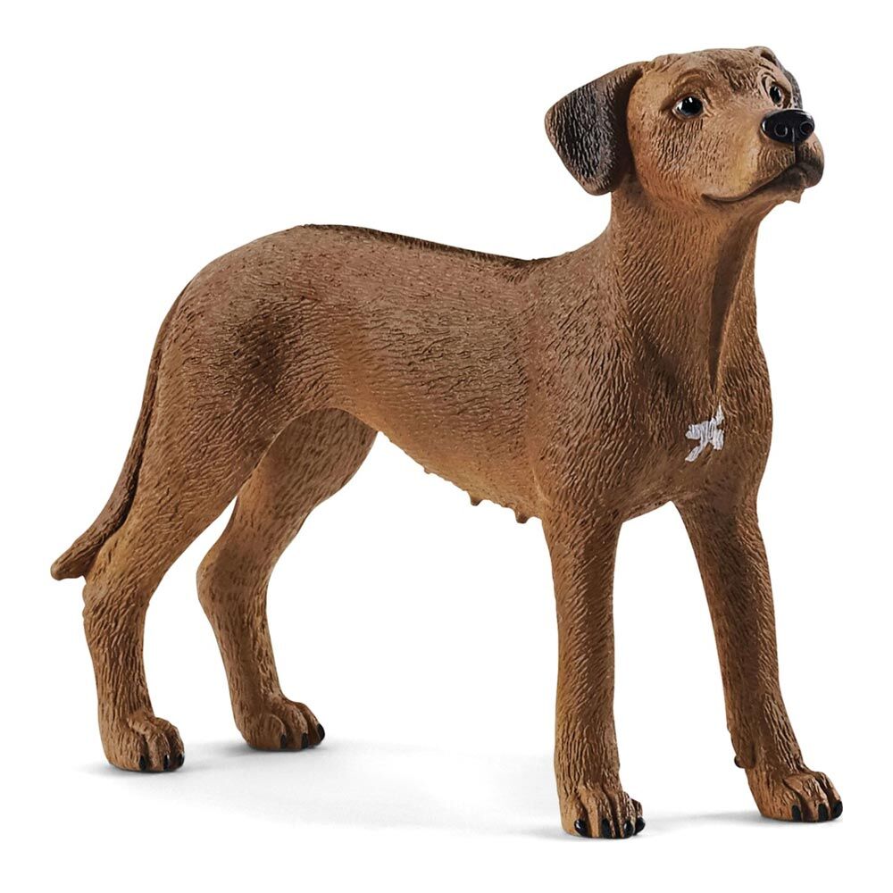 Ігрова фігурка Schleich Farm world Родезійський риджбек (13895)