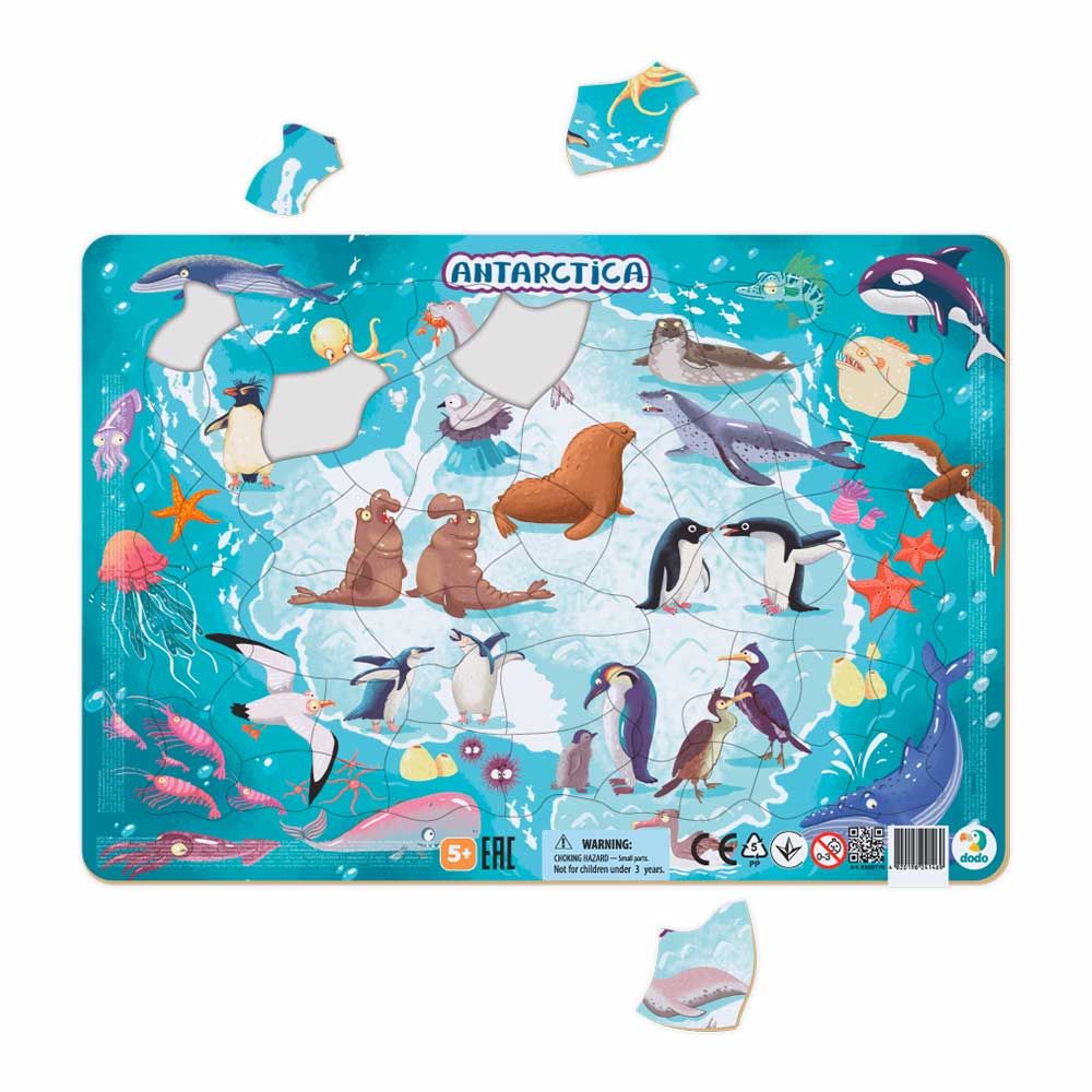 Пазл з рамкою DoDo Антарктида (R300176)