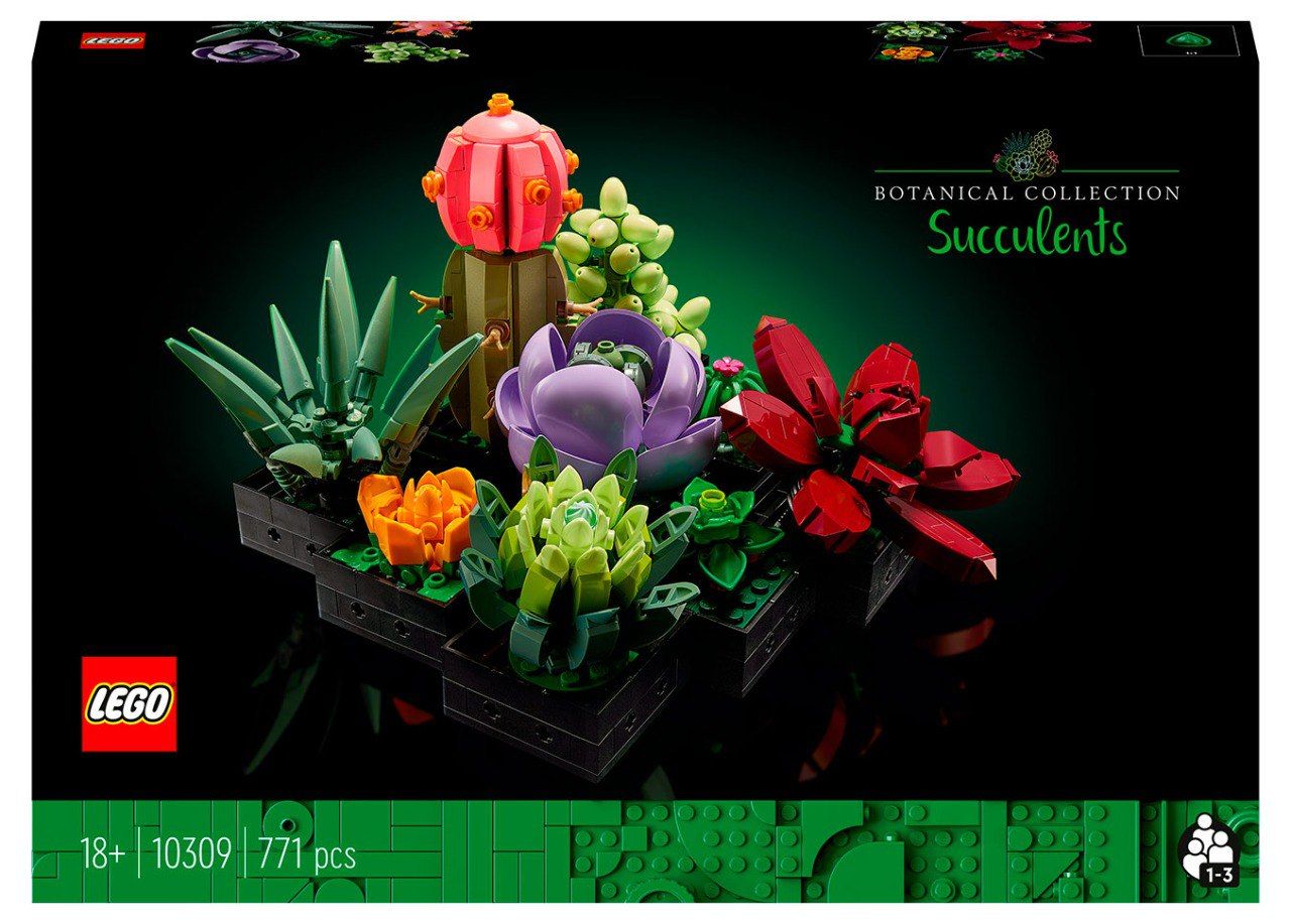 Конструктор LEGO Botanicals Сукуленти (10309)
