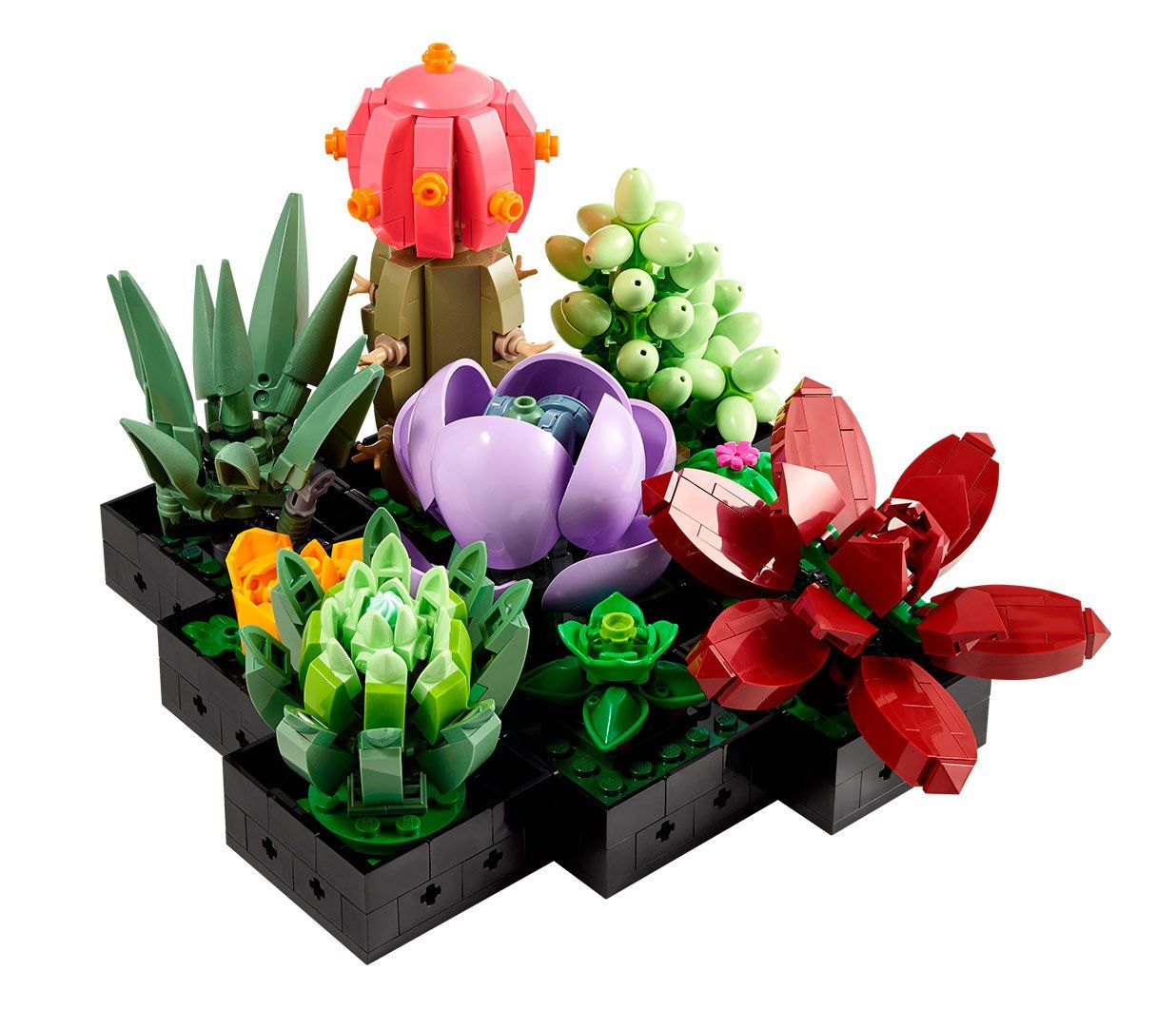 Конструктор LEGO Botanicals Сукуленти (10309)