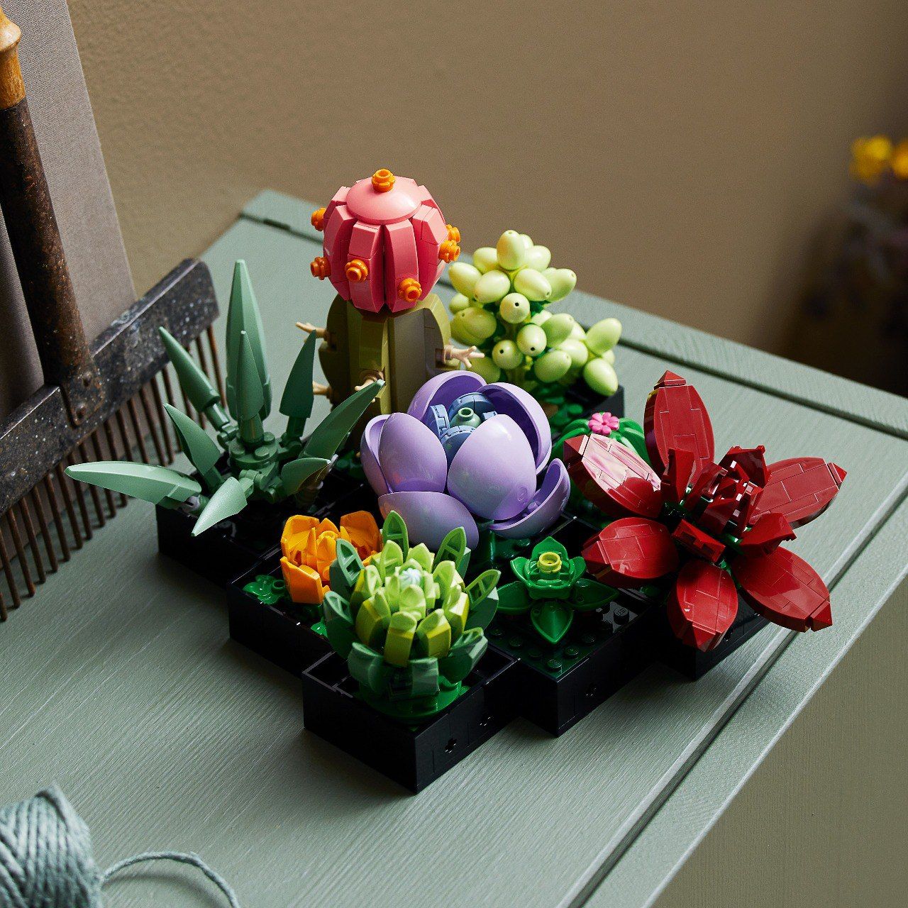 Конструктор LEGO Botanicals Сукуленти (10309)