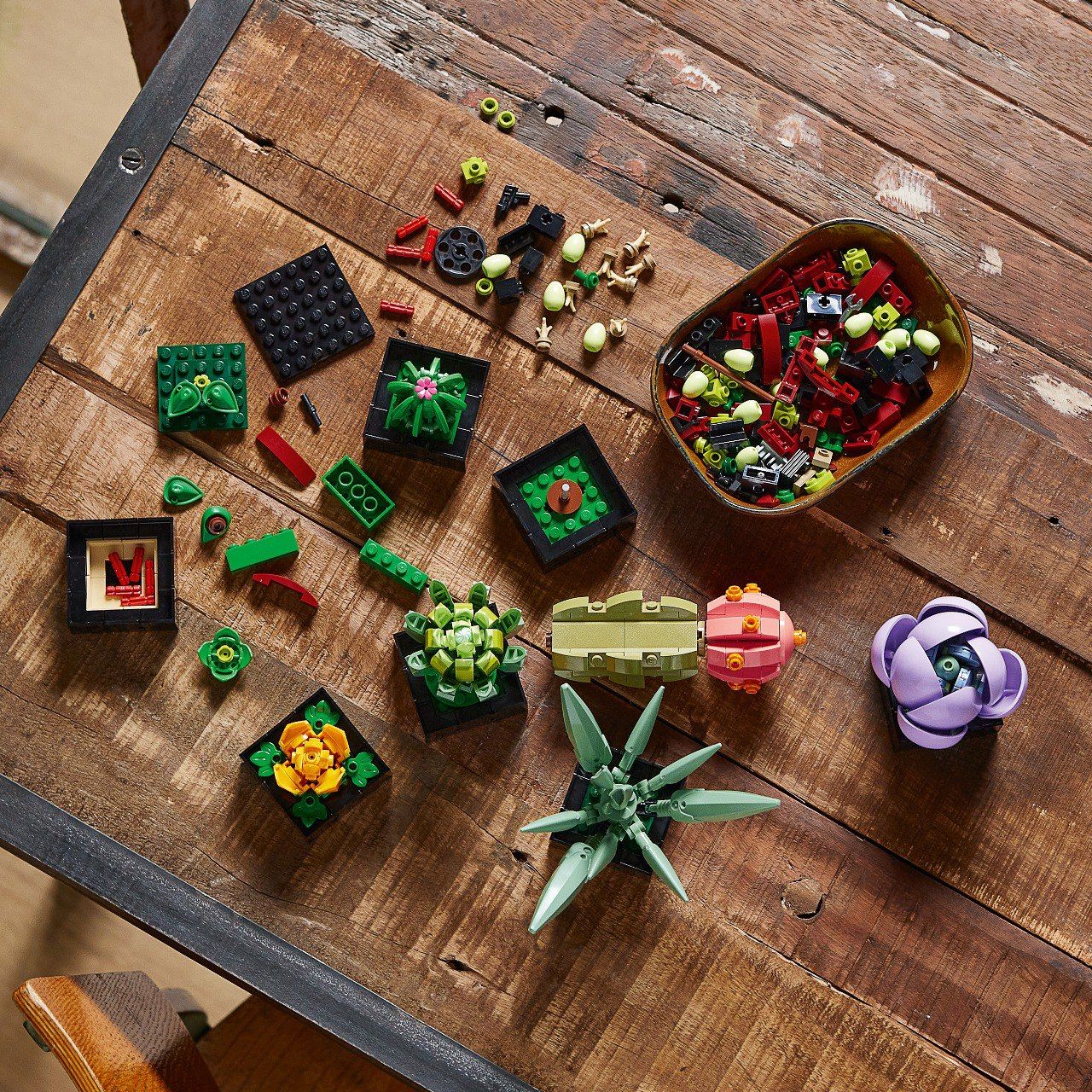 Конструктор LEGO Botanicals Сукуленти (10309)