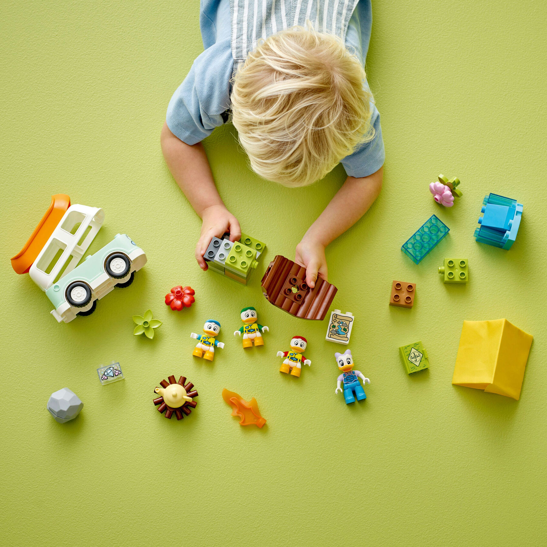 Конструктор LEGO DUPLO Пригоди на природі (10997)