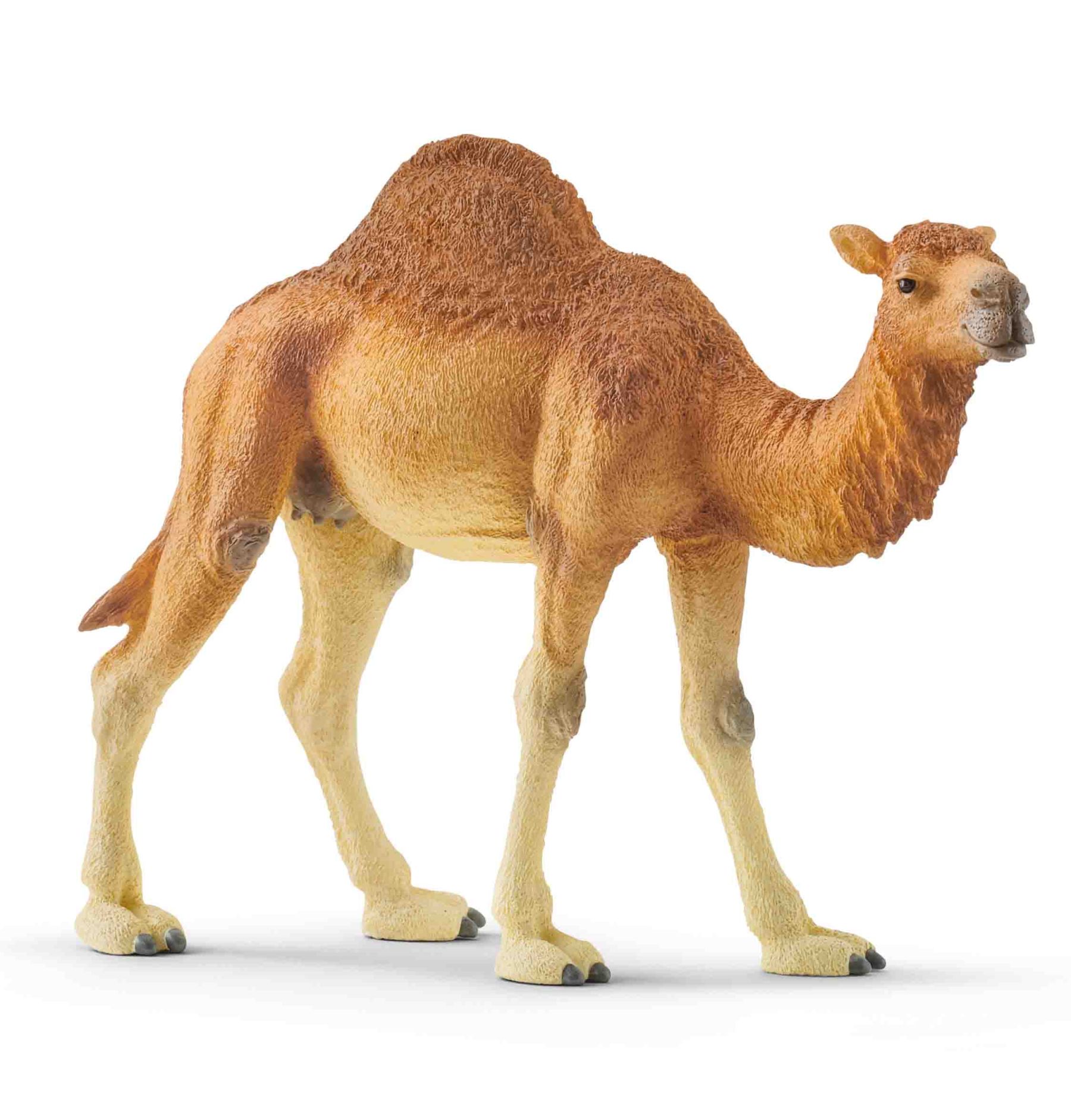 ​Ігрова фігурка Schleich Дромедар (14832)