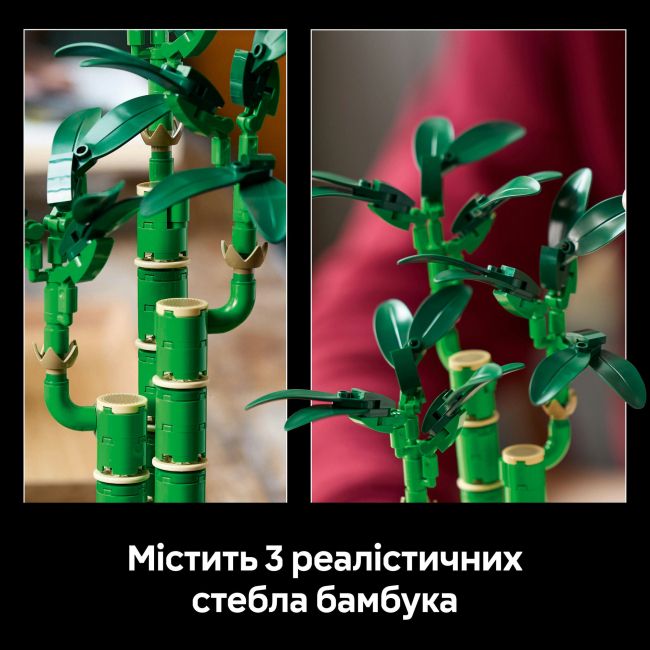 Конструктор LEGO Botanicals Бамбук щастя (10344)