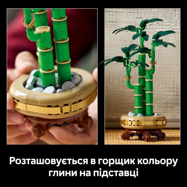 Конструктор LEGO Botanicals Бамбук щастя (10344)