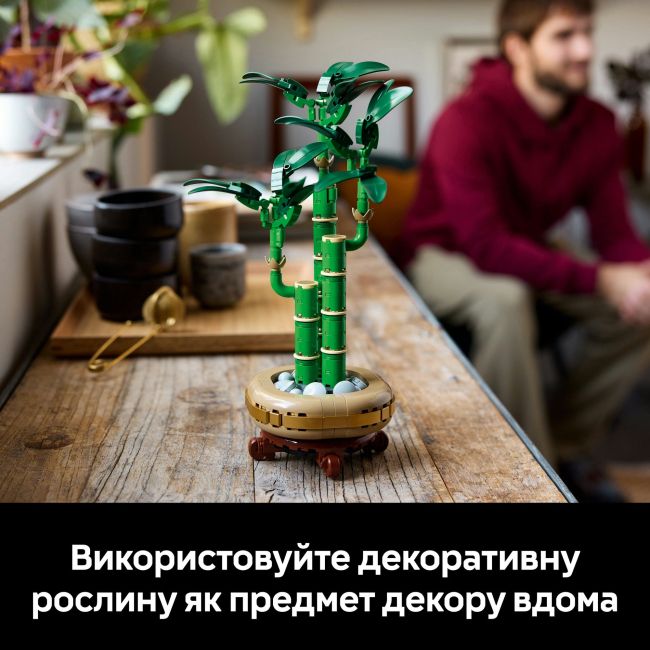 Конструктор LEGO Botanicals Бамбук щастя (10344)