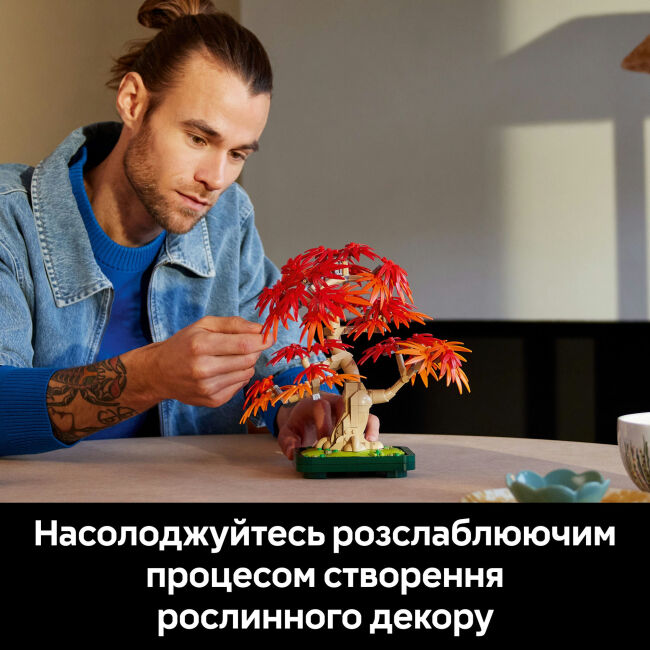 Конструктор LEGO Botanicals Бонсай з японського червоного клена (10348)