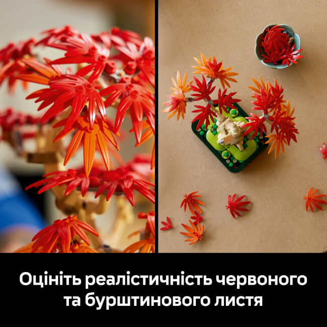 Конструктор LEGO Botanicals Бонсай з японського червоного клена (10348)