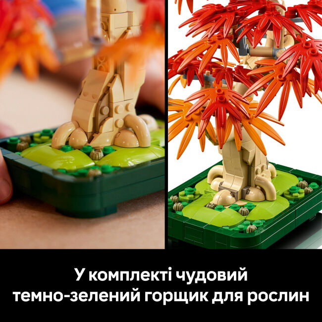 Конструктор LEGO Botanicals Бонсай з японського червоного клена (10348)
