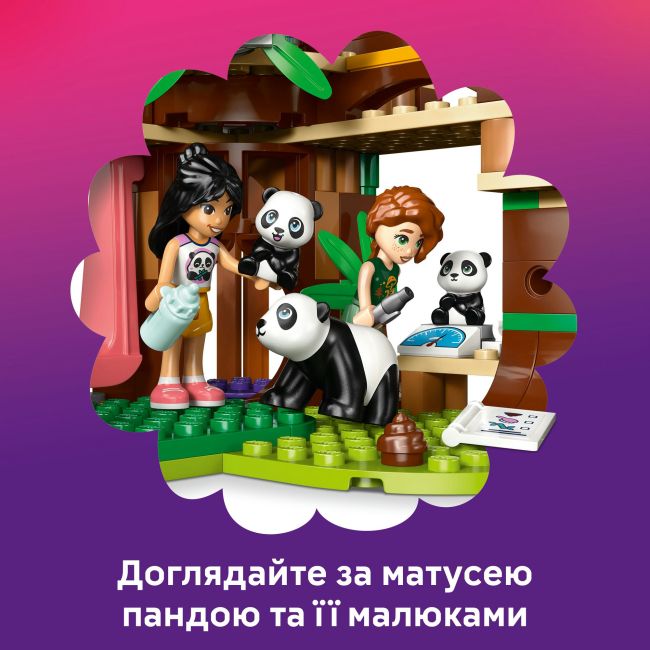 Конструктор LEGO Friends Догляд за тваринами в заповіднику панд (42648)