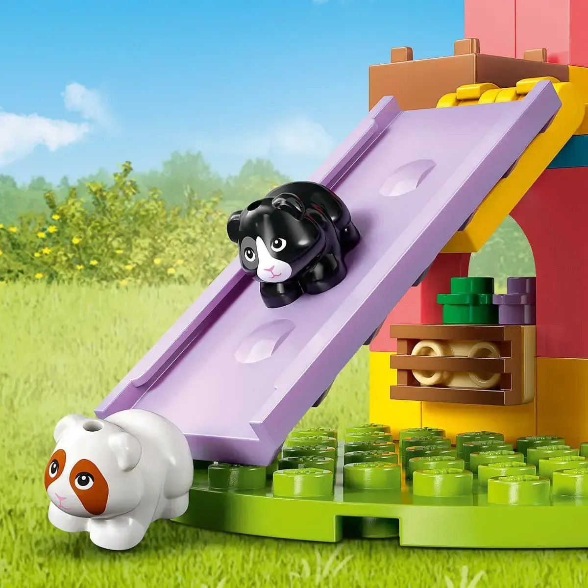 Конструктор LEGO Friends Ігровий майданчик для морських свинок (42640)