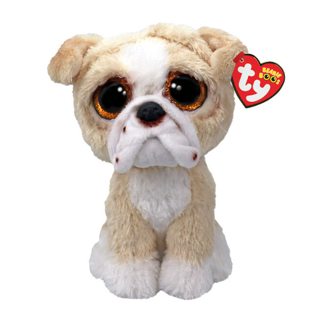 М'яка іграшка TY Beanie Boos Англійський бульдог Pooch 15 см (37371)