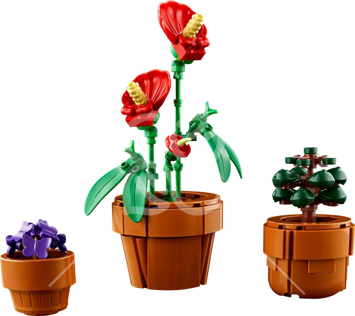 Конструктор LEGO Botanicals Мініатюрні рослини (10329)