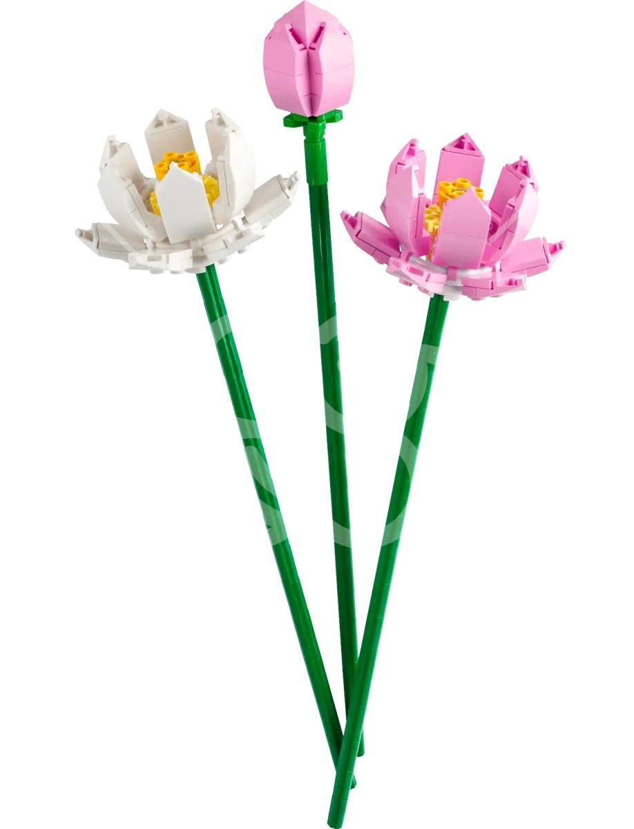 Конструктор LEGO Botanicals Квіти лотоса (40647)