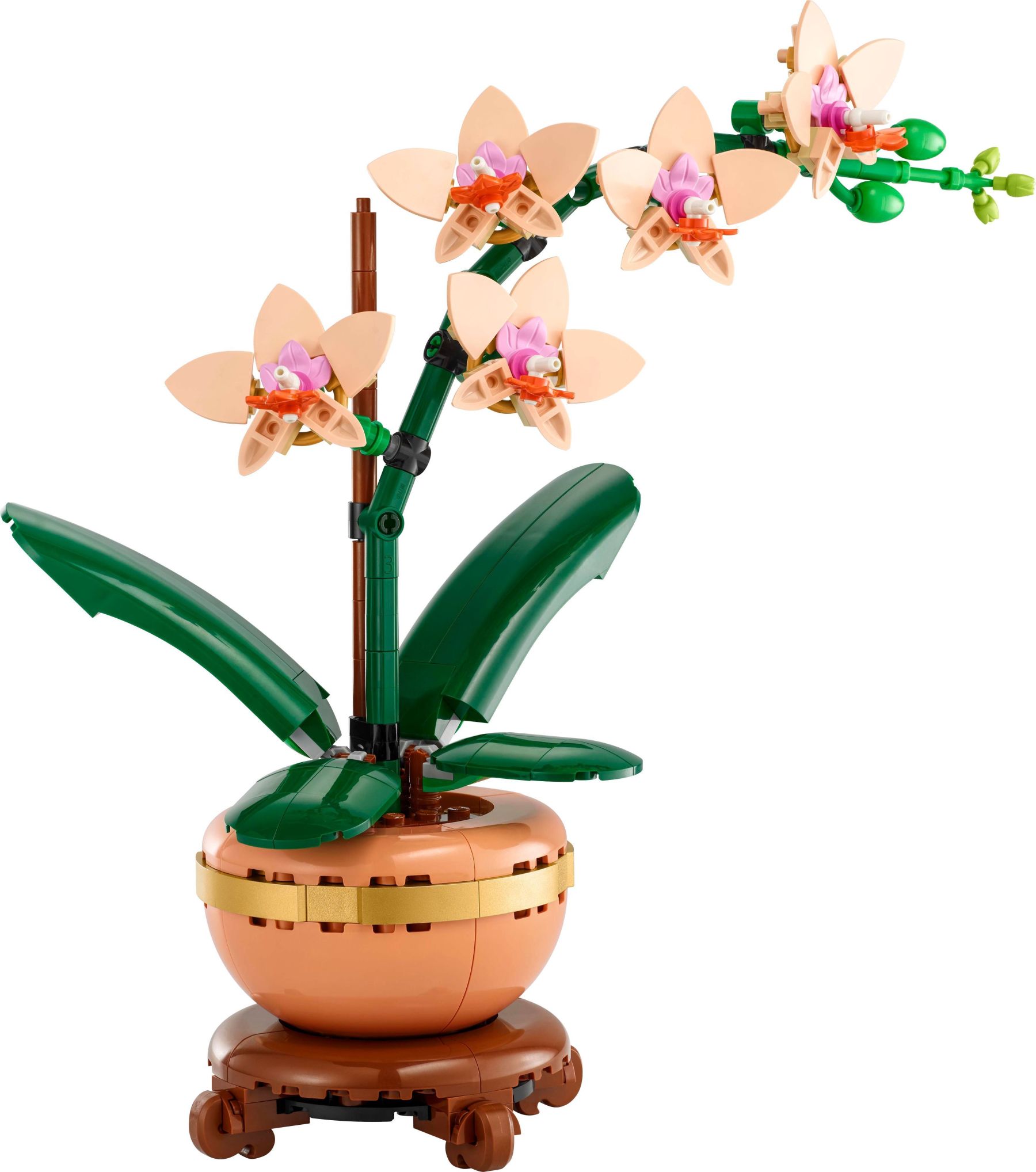 Конструктор LEGO Botanicals Міні орхідея (10343)