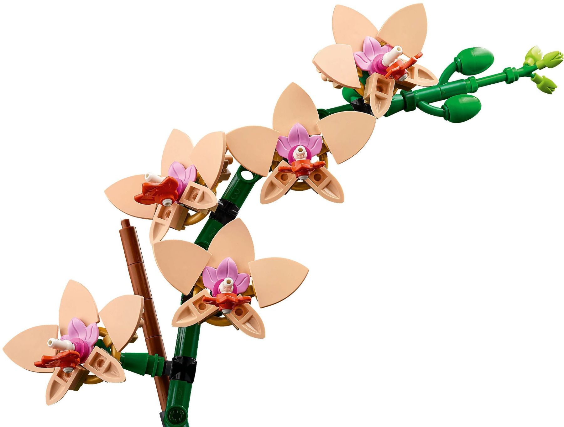 Конструктор LEGO Botanicals Міні орхідея (10343)