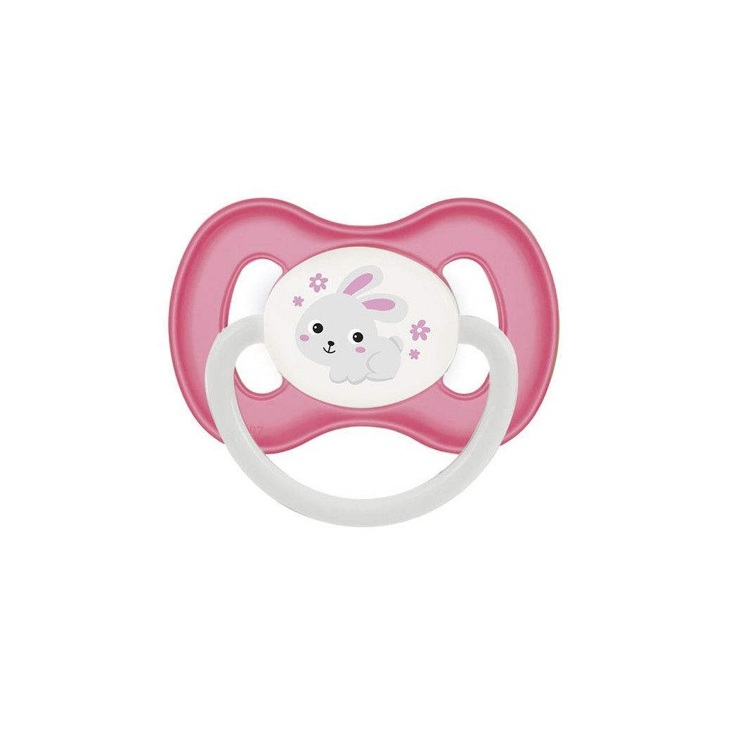 Пустушка силіконова симетрична Canpol Babies Bunny Company від 6 до 18 місяців (23/268_pin)